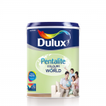 Paint & Painting Accessories
